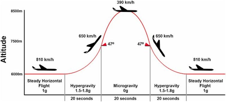 Schemat przedstawiający prędkość, przyspieszenie i kierunek lotu samolotu w locie parabolicznym.