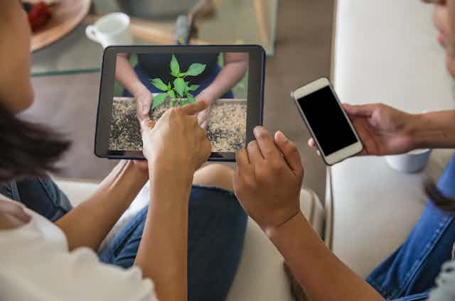Close up shot of two female friends watching online gardening tutorial from digital tablet. Both are sitting on the sofa at living room. One woman pointing to digital tablet and another one holding her smartphone.
