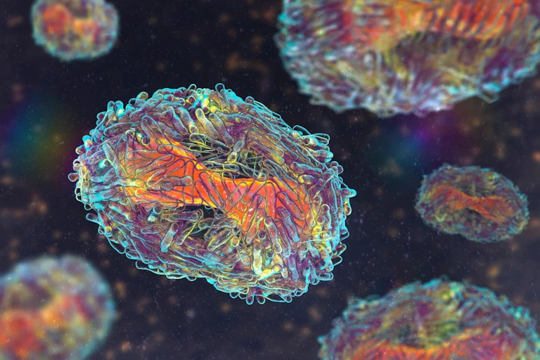 Monkeypox viruses