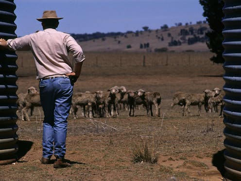 Drought increases rural suicide, and climate change will make drought worse