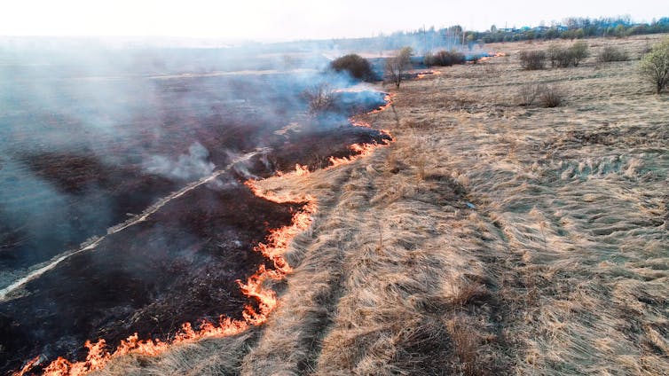 Large grass fire burning