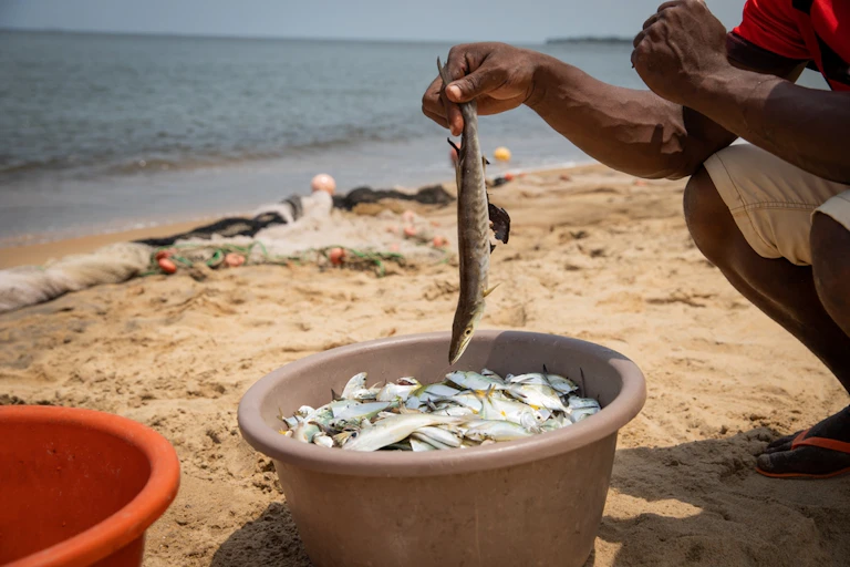 Man holding a fish from a bucket of fish.