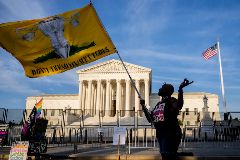 A woman stands outside the Supreme Court holding a flag with a drawing of a uterus on it with the slogan 'Don't tread on my uterus.'