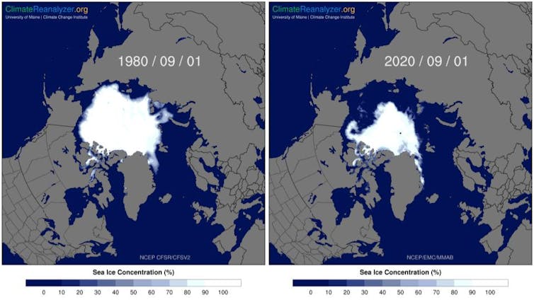 Side by side maps comparing sea ice from 1980 and 2020. The ice in the 2020 map looks to be roughly half the size of the 1980 map.