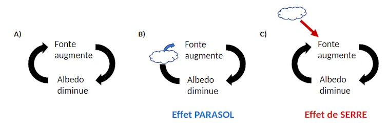 Schéma de la boucle de rétroaction entre fonte de la neige et albédo
