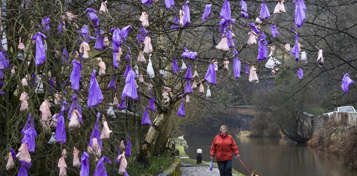 We say plastic bags are for life, but they still end up hanging from trees