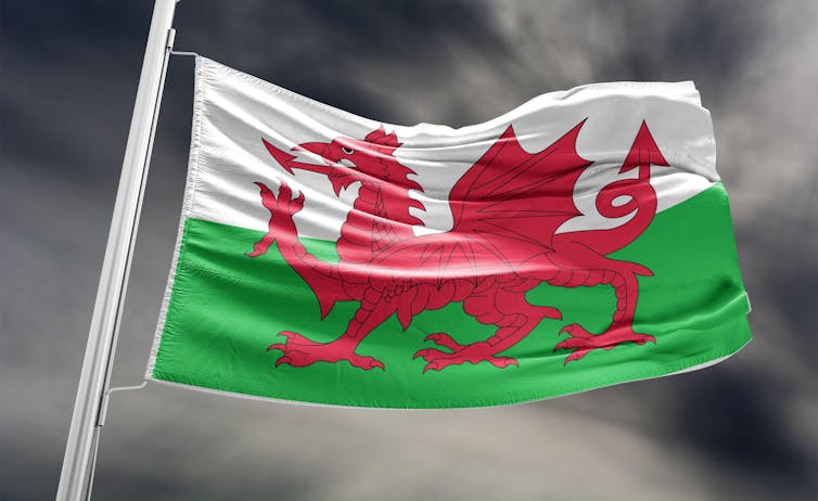 Wales' flag.