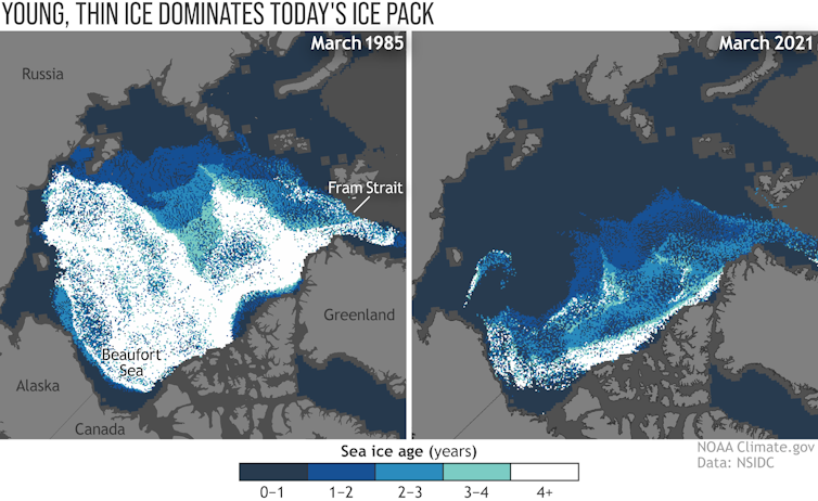 Side by side maps comparing the thickness of sea ice from 1985 and 2021. The ice in the 2021 map is considerably thinner than that of the 1984 map.