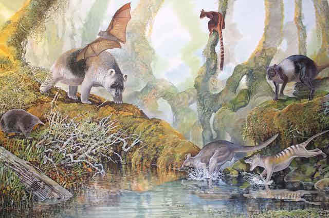An artists's depiction of Nombe Rockshelter fauna