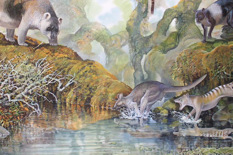 An artists's depiction of Nombe Rockshelter fauna