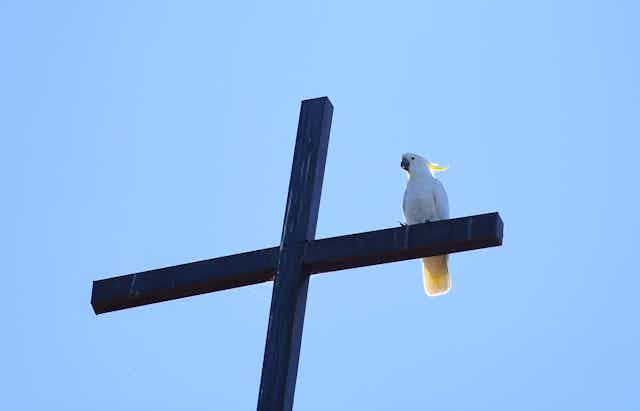 Cockatoo sitting on a cross