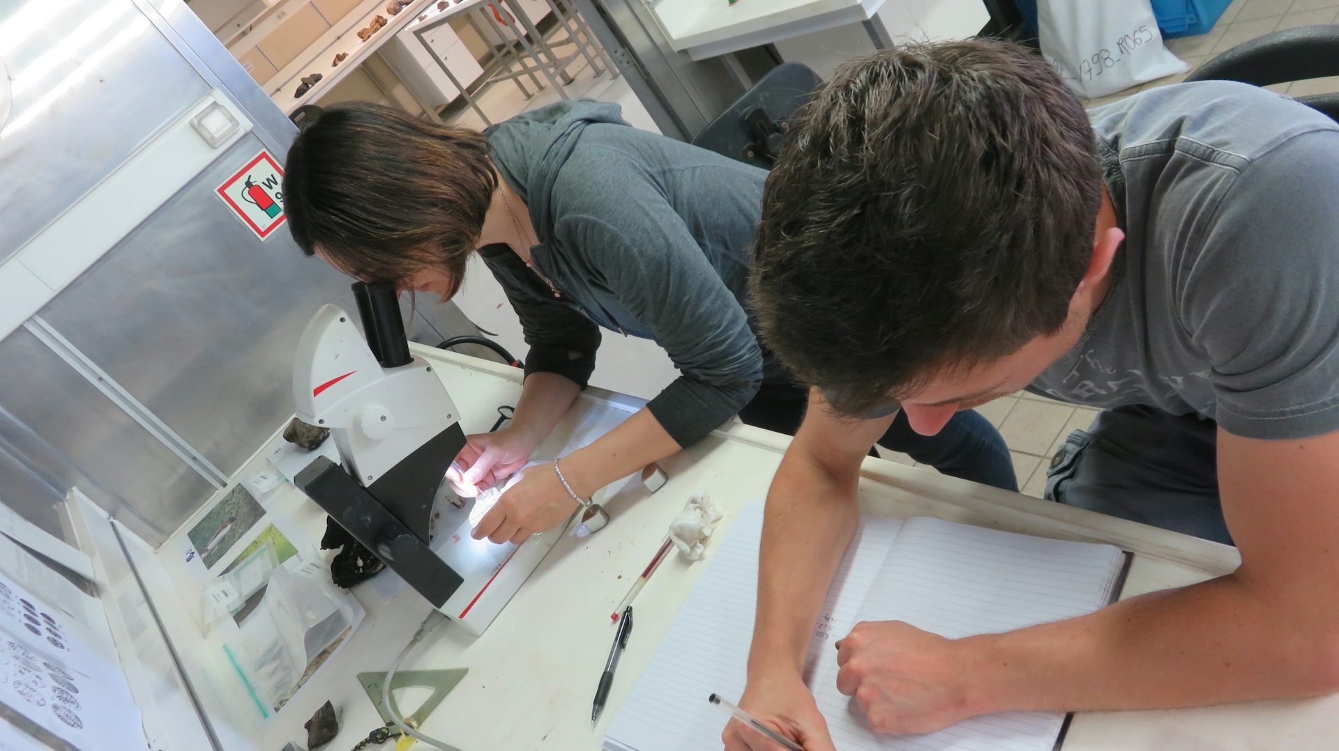 Anna et Rémi décrivent les roches grâce à une loupe binoculaire afin de les cataloguer et d’en faire profiter la communauté
