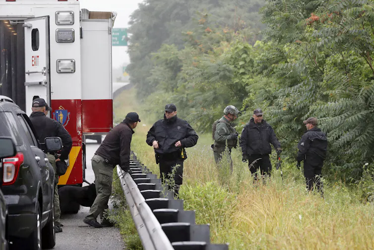 Police scour trees next to a highway.