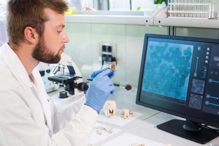 Paleoparasitología: Una Mirada A La Antigüedad A Través Del Microscopio 3 file 20220628 25 b4819w.jpg?ixlib=rb 1.1 Paleoparasitología: una mirada a la antigüedad a través del microscopio