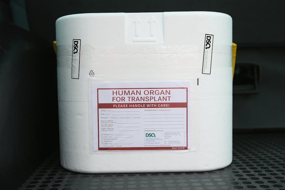 A styrofoam box used for transporting human organs.