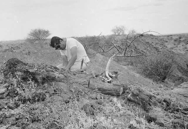 Yves Coppens dans la Vallée de l'Omo en 1969 en train de fouiller un site archéologique