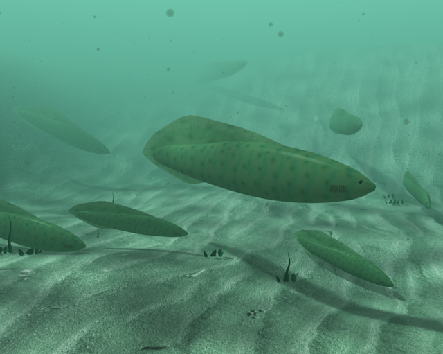 Artwork depicting a group of seven strange looking fish swimming along a sandy bottom.
