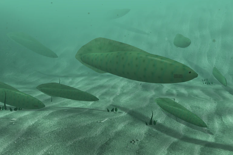Artwork depicting a group of seven strange looking fish swimming along a sandy bottom.
