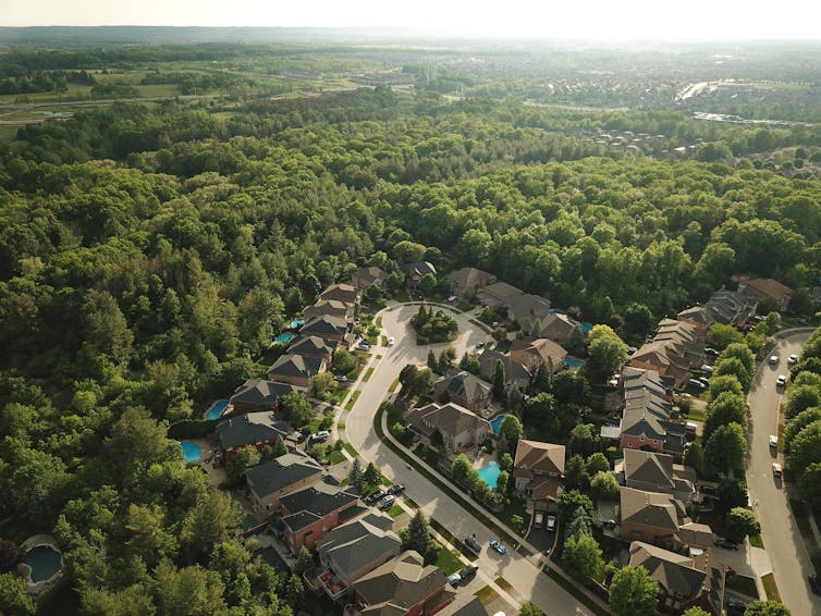 Luscious green neighbourhood as seen from above.