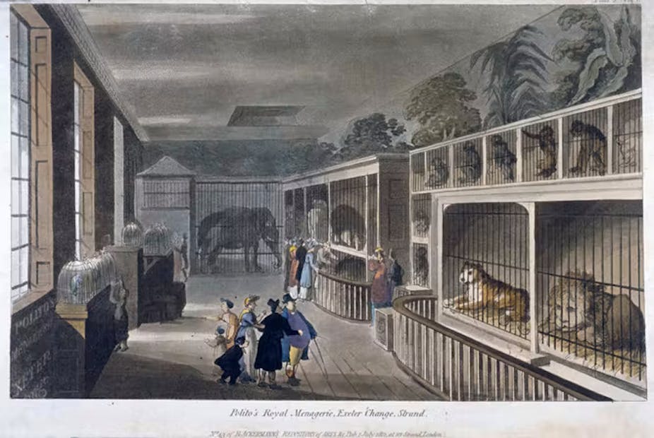 Ilustrasi ruang interior dengan kandang hewan berjejer di dinding yang menampung kucing besar, monyet, dan gajah. Ada penonton di topi atas dan pakaian gaya lama.