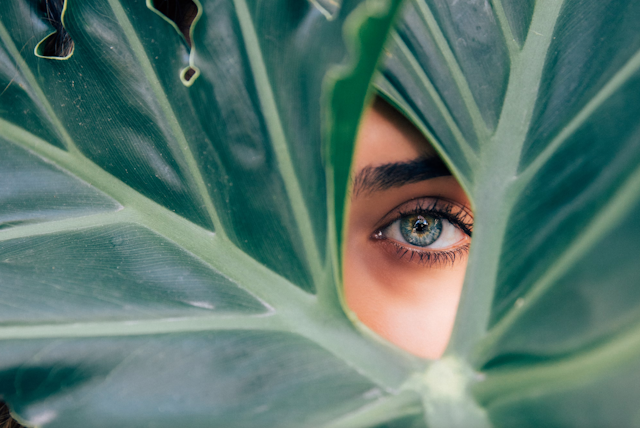 Woman's eye in the gap of a big leaf