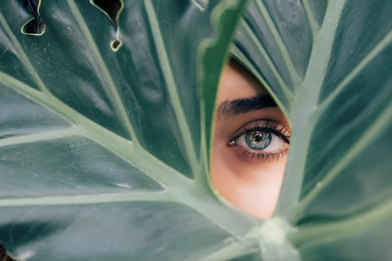 Woman's eye in the gap of a big leaf