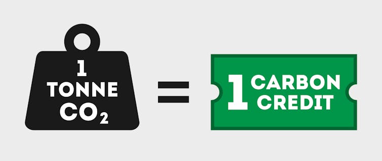 Graphic showing one tonne of CO2 = 1 carbon credit