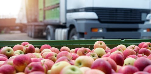 Riset: demi kelestarian bumi, masyarakat kaya harus perbanyak konsumsi makanan lokal dan kurangi pangan impor
