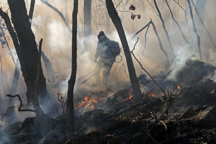 A shadowy figure sprays smouldering undergrowth in a forest with water.