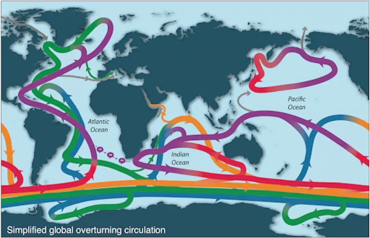 Schéma simplifié de la circulation thermohaline