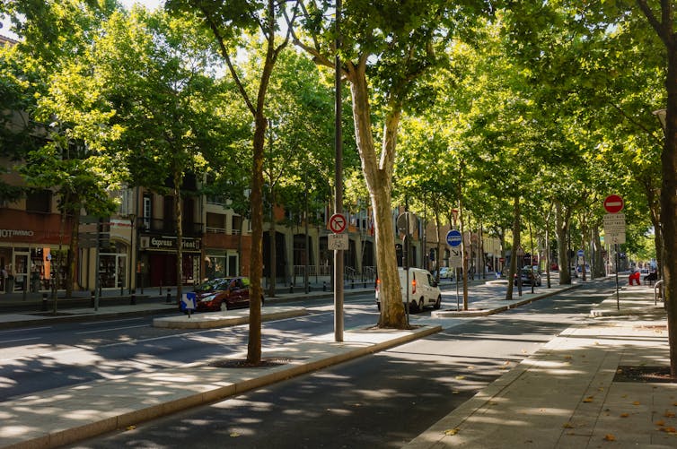 Trees provide shade to streets and buildings