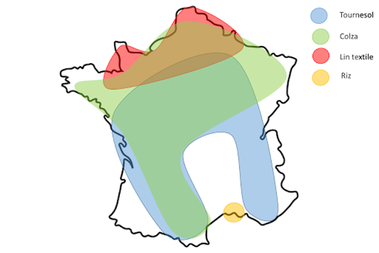 Carte montrant la répartition géographique des différentes cultures intéressantes pour l’éco-construction