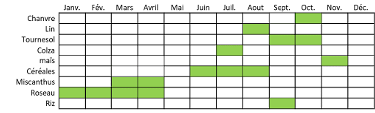 Tableau montrant les périodes de récolte des cultures annuelles françaises intéressantes pour l’éco-construction