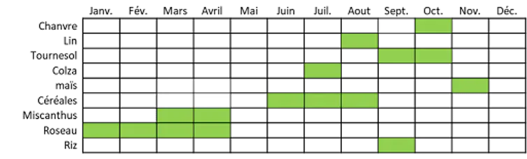 Tableau montrant les périodes de récolte des cultures annuelles françaises intéressantes pour l’éco-construction