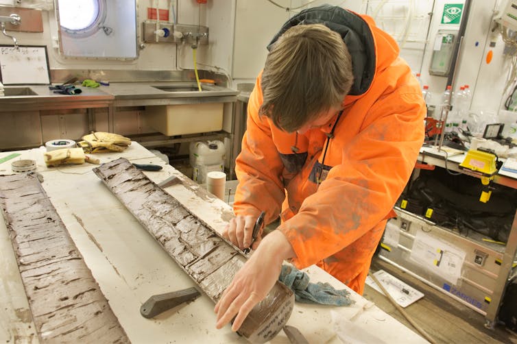 Scientists study cores of sediment from the seafloor.