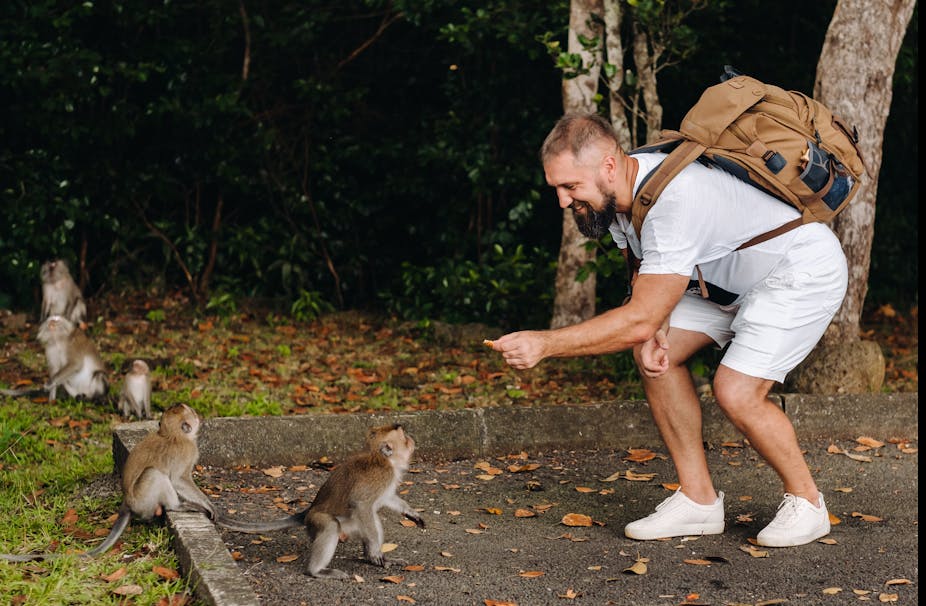 Un homme avec un sac à dos qui tend à manger à un petit singe.