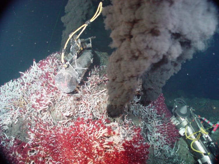 Image of a vent on the Earth’s ocean floor.