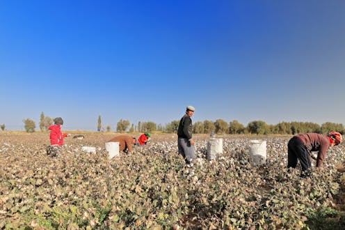 Trabajo forzado uigur en China: guerra comercial y derechos humanos Trabajo forzado uigur en China: guerra comercial y derechos humanos