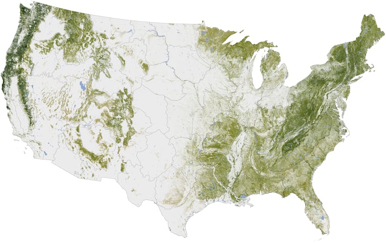 Map shows where the US has tree cover today, largely in the East and mountains.