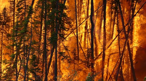 El cambio climático ha aumentado el riesgo de incendios, pero aún podemos influir en cómo y dónde se producen El cambio climático ha aumentado el riesgo de incendios, pero aún podemos influir en cómo y dónde se producen
