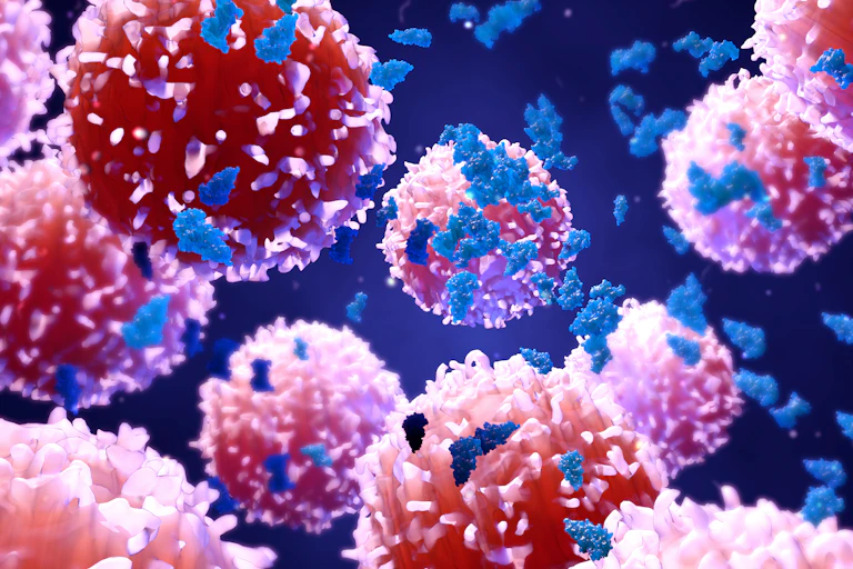 An illustration of cells.