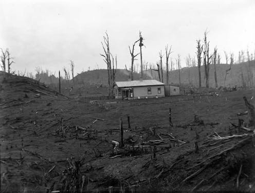 Nation-building or nature-destroying? Why it’s time NZ faced up to the environmental damage of its colonial past