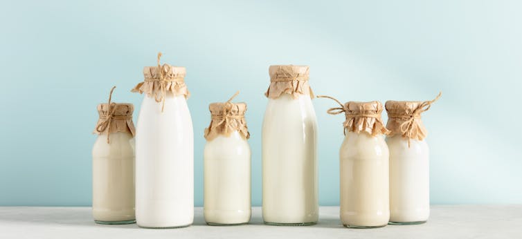 ¿Sigue siendo leche la leche? 3 file 20220705 26 vq0twj.jpg?ixlib=rb 1.1