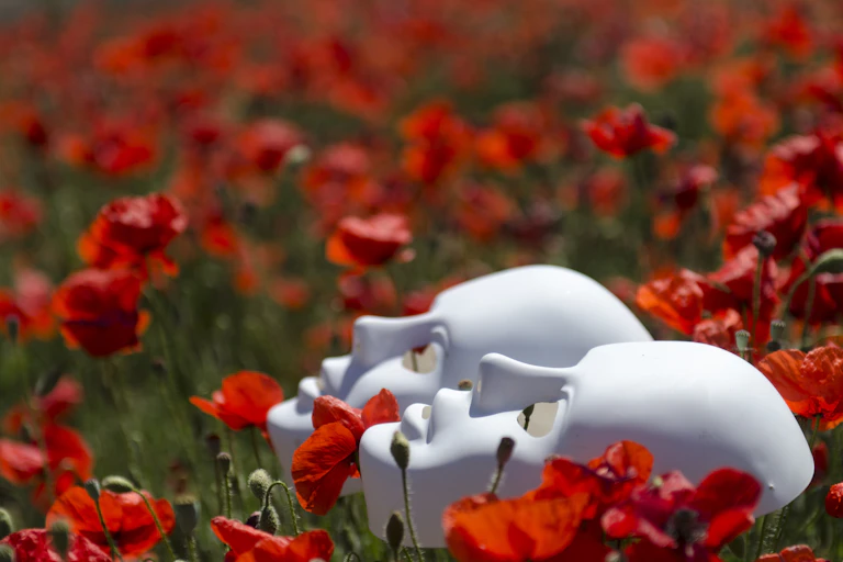 Masque dans champ de coquelicot