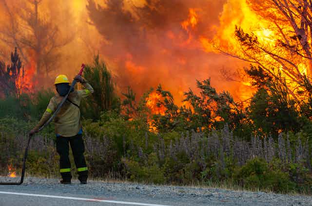 A fire fighter holds a hose aloft with fire encroaching on scrubland nearby.