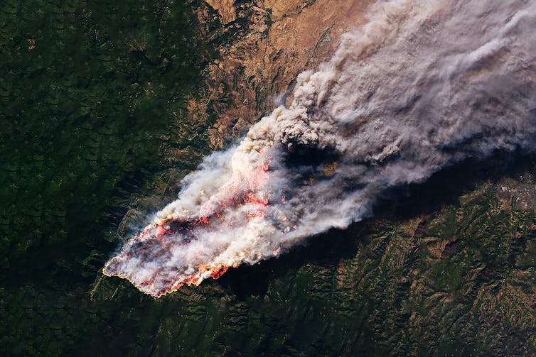 A satellite image of a forest fire.