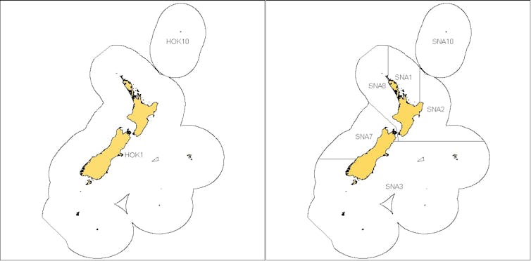 Maps of quota management areas fro hoki and snapper.