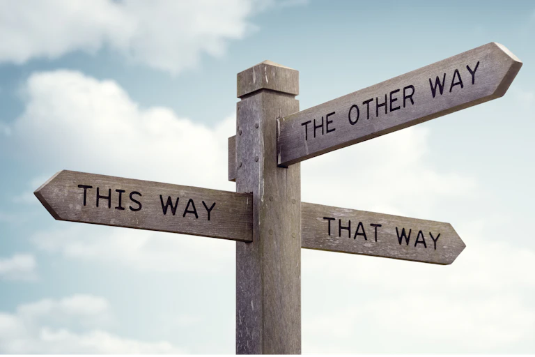 Signpost at crossroads saying 'this way', 'that way', 'the other way'