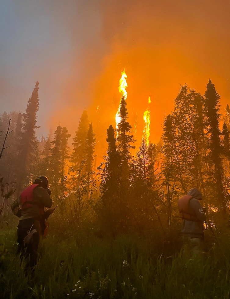 Firefighters in tall grass silhouetted by flames in the trees beyond.