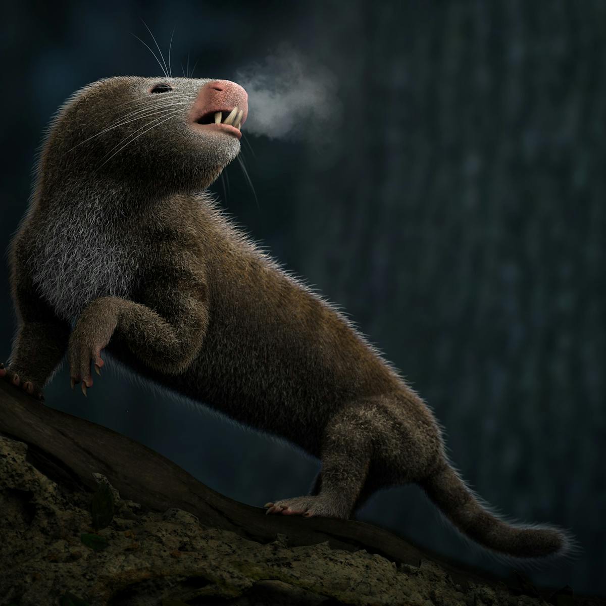 Mystery Solved When Mammals Ancestors Became Warm Blooded Mystery Solved When Mammals Ancestors Became Warm Blooded